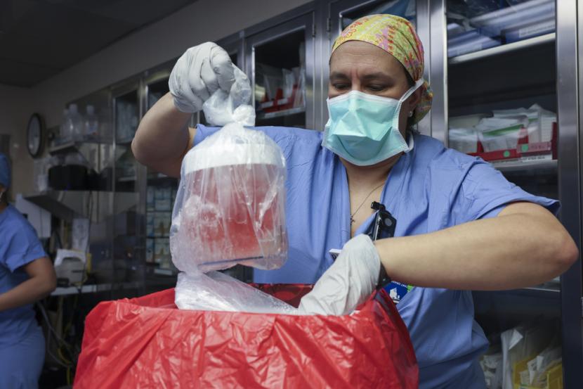 Orang Pertama Penerima Transplantasi Ginjal Babi Hasil Rekayasa Genetika Meninggal Dunia