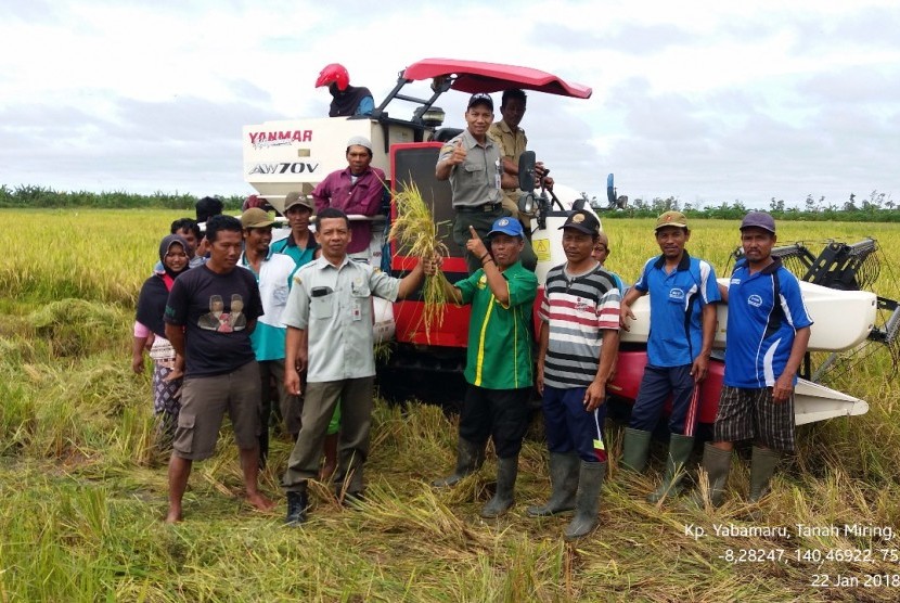 Proyek Cetak Sawah Baru Dinilai Bisa Dorong Swasembada Pangan